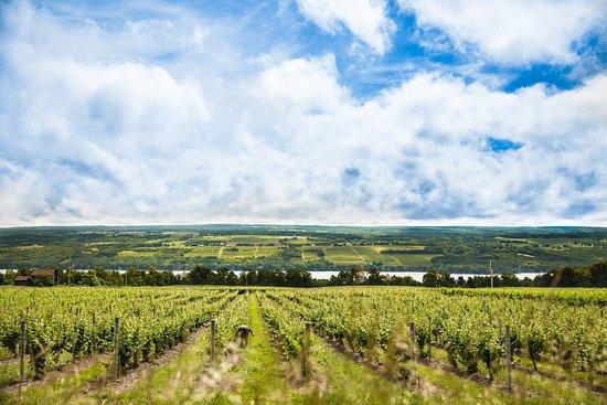Seneca Lake Wine Trail
